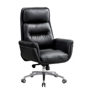 FAUTEUIL MINISTRE OFFICIEL CH24